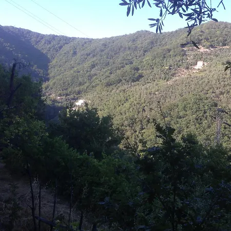 Tottavilla, Frantoio Di